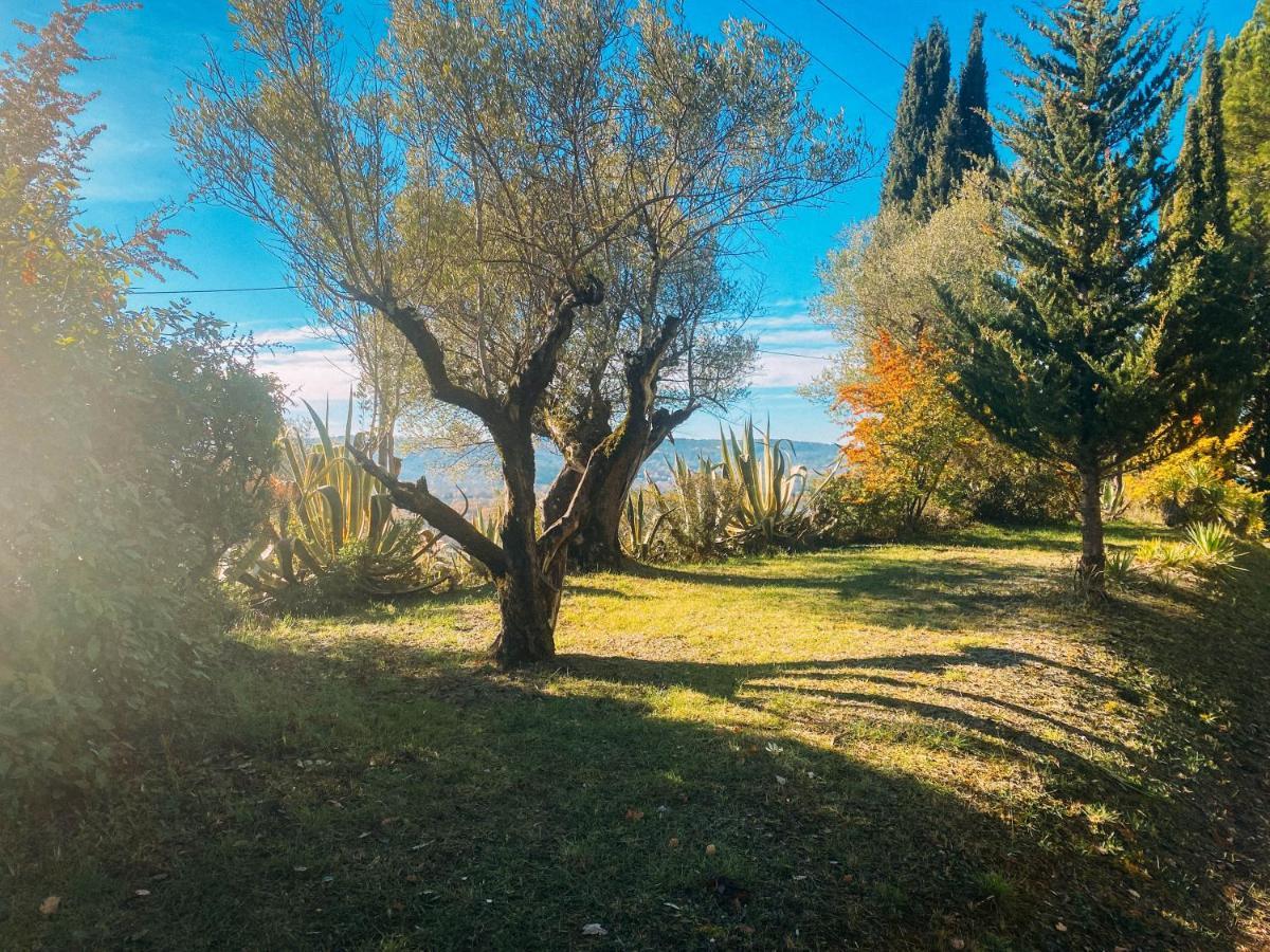 Les Lodges De Saint Cassien 2 Montauroux Εξωτερικό φωτογραφία
