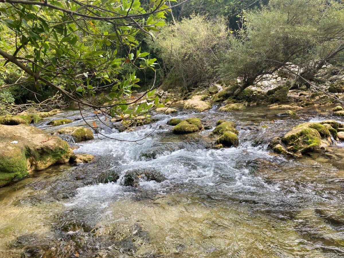 Les Lodges De Saint Cassien 2 Montauroux Εξωτερικό φωτογραφία